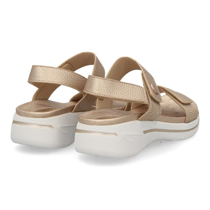HLS-0692-Xampany