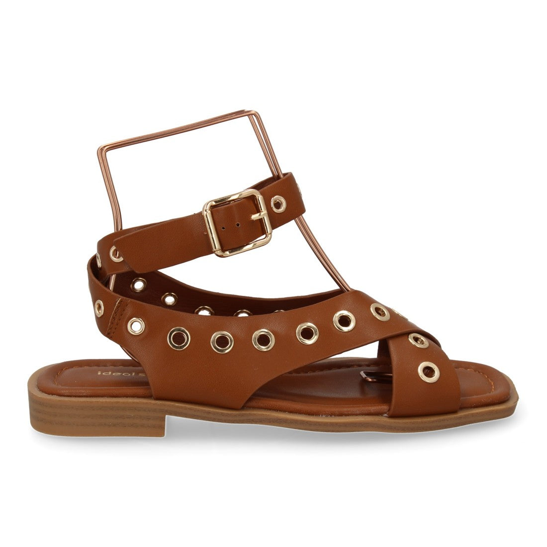 2287-Camell