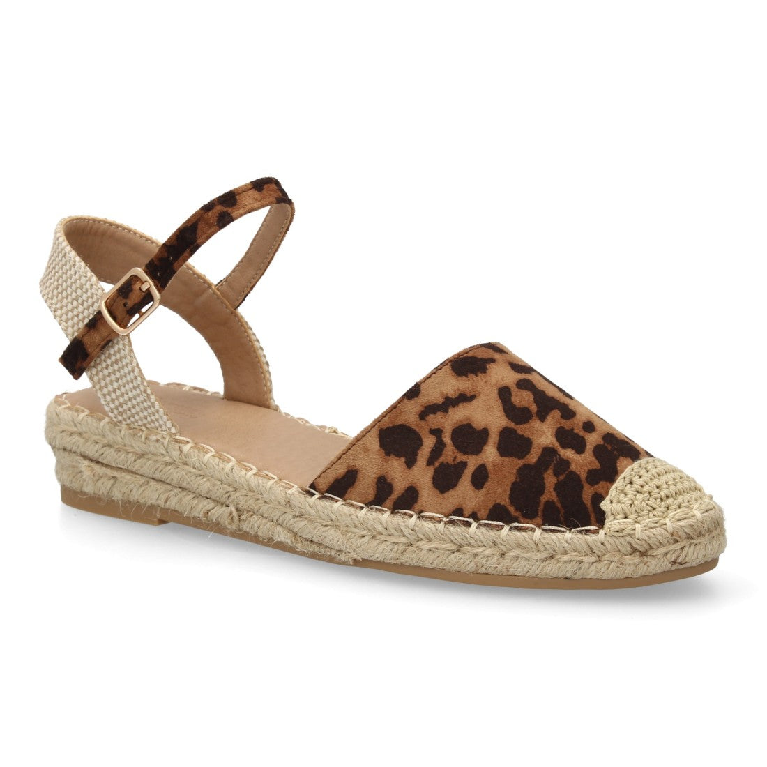 JY-3A024-Lleopard