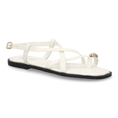 L2887-Blanc