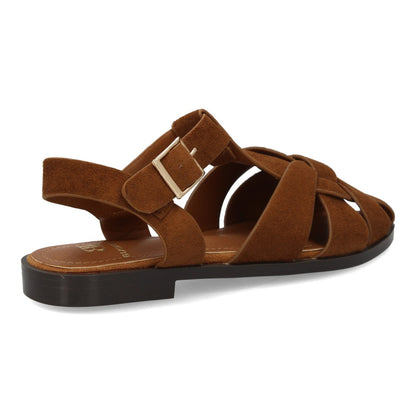 X-5731-Camel