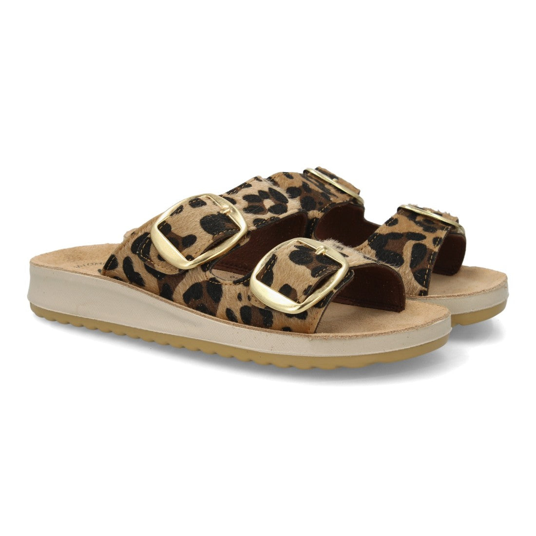 6570-Leopardo