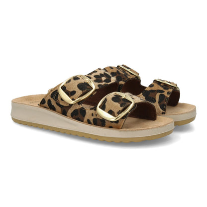 6570-Leopardo