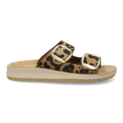 6570-Leopardo