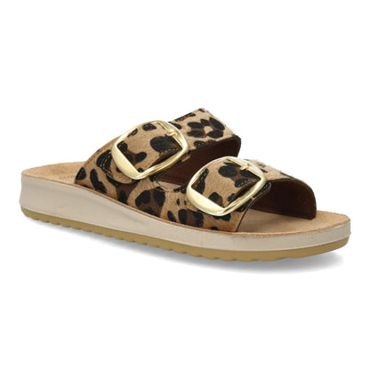 6570-Leopardo