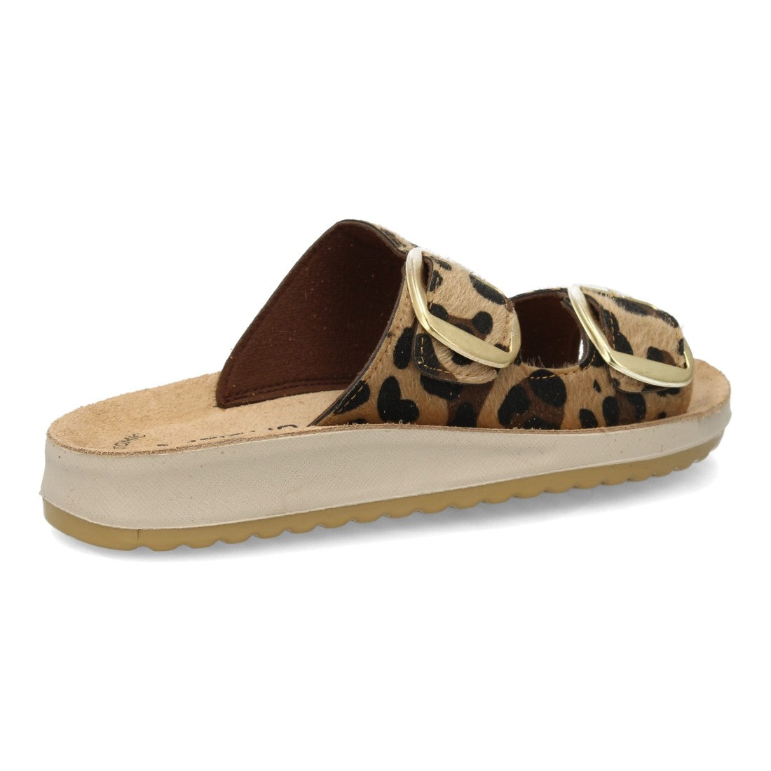 6570-Leopardo