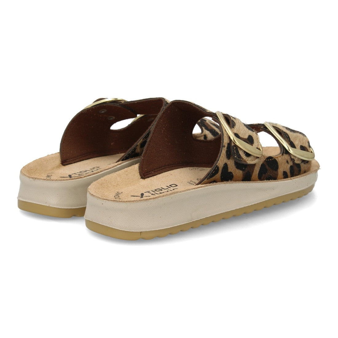 6570-Leopardo