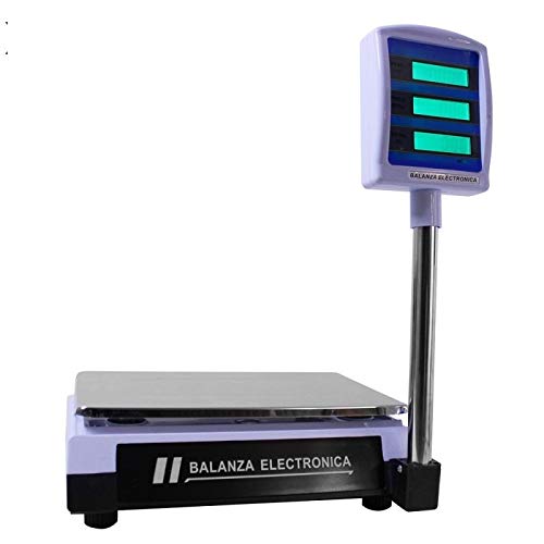 Bàscula Digital amb Torre per a Interior o Exterior - Precisió i Fiabilitat en Cada Pesada