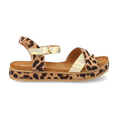 HD-397-Lleopard