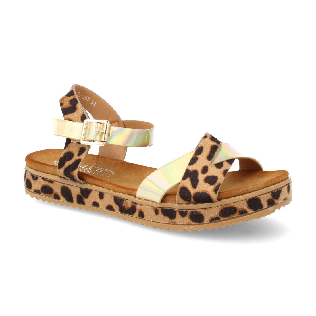 HD-397-Lleopard