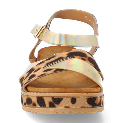 HD-397-Lleopard