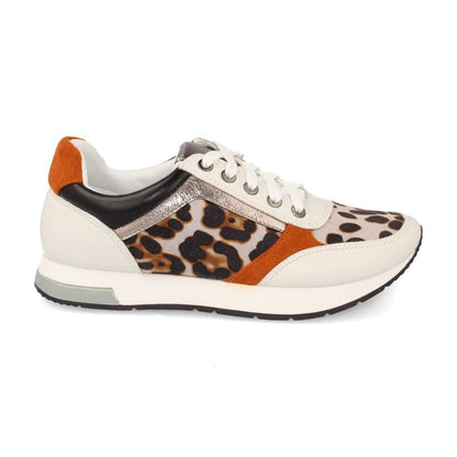 K1940004-Lleopard