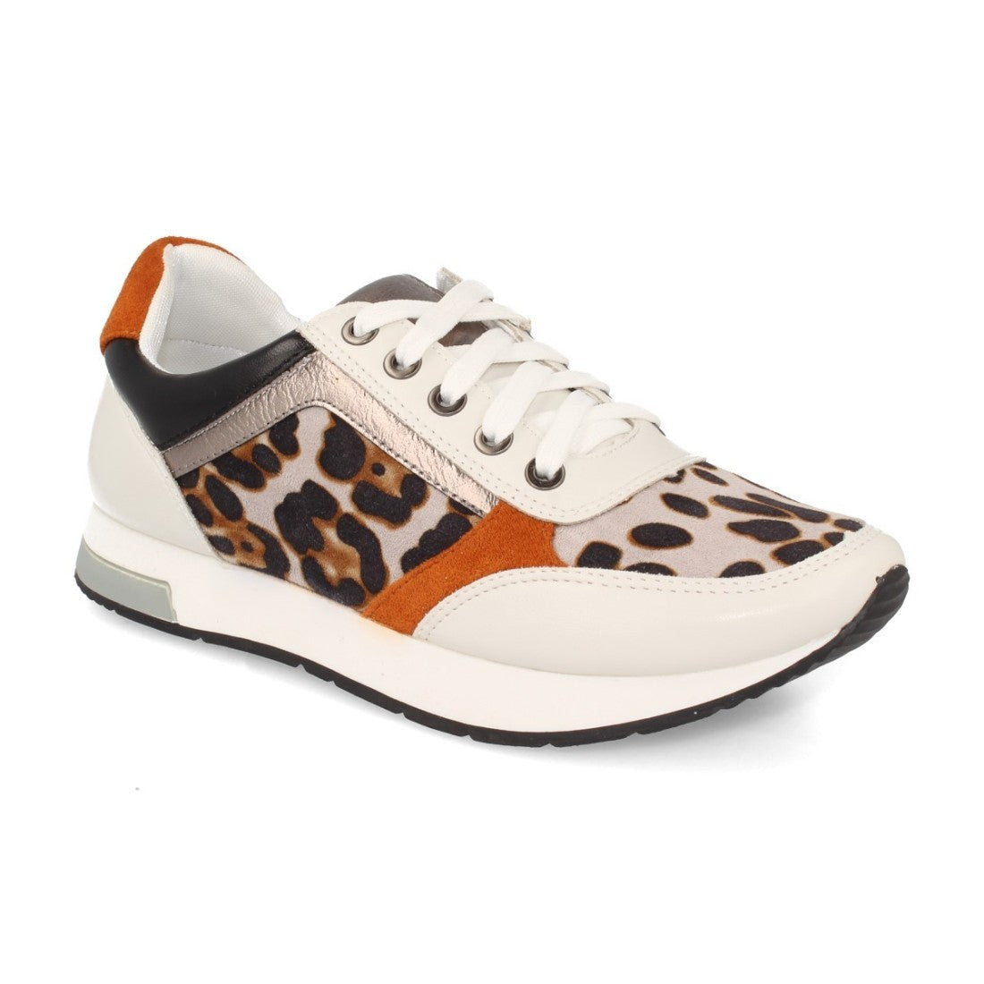 K1940004-Lleopard