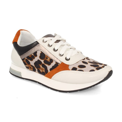 K1940004-Lleopard