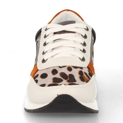 K1940004-Lleopard