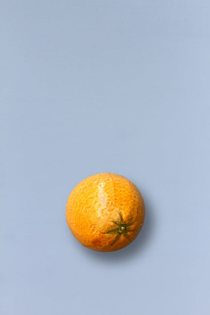 Naranja réplica de cerámica esmaltada