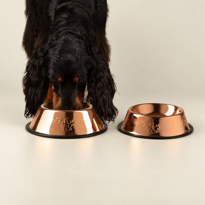 Cuenco pequeño estilo en cobre de acero inoxidable para mascotas
