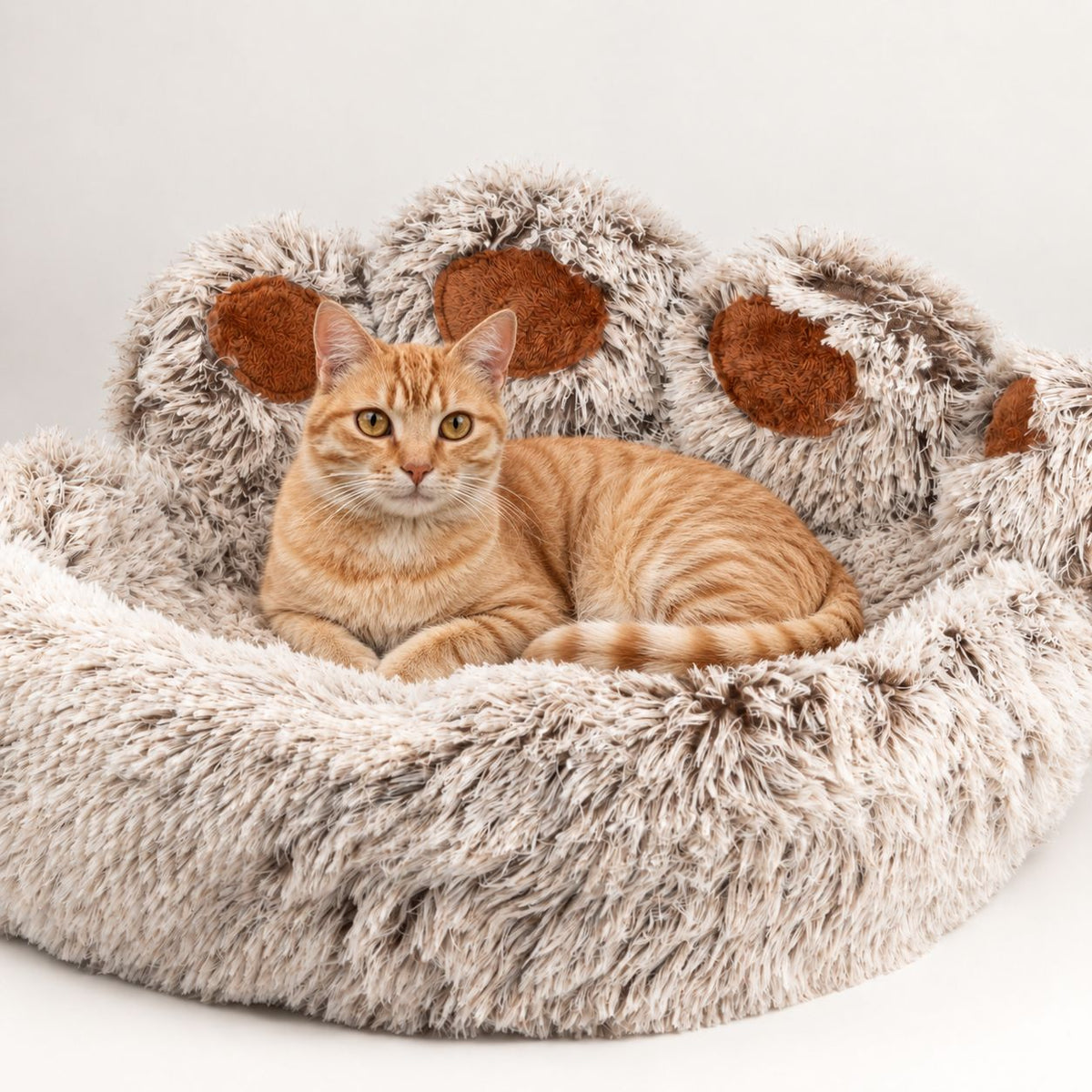 Cama tipo pata grande para gatos