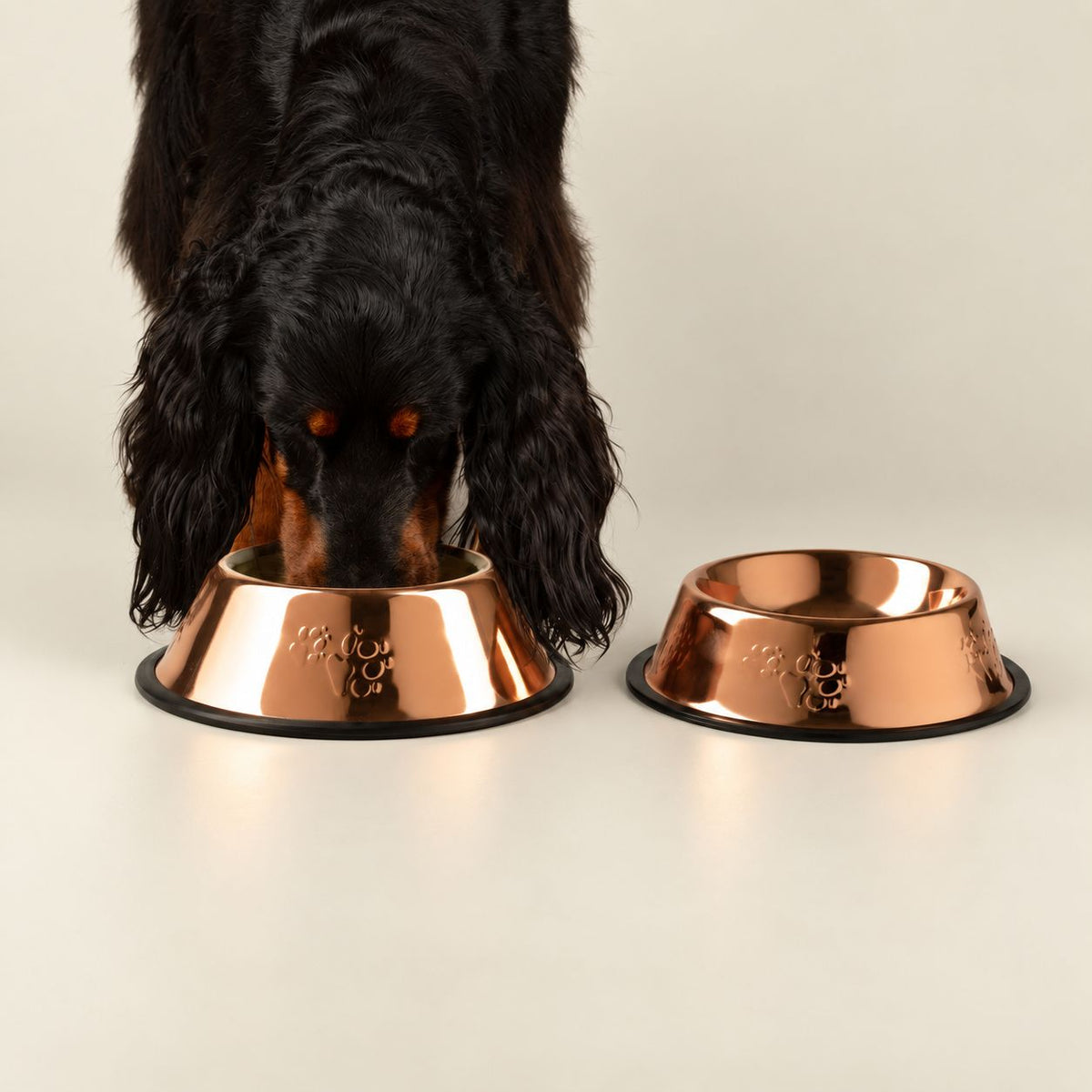 Cuenco grande estilo en cobre de acero inoxidable para mascotas