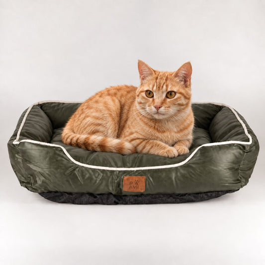Cama pequeña verde caqui para gatos