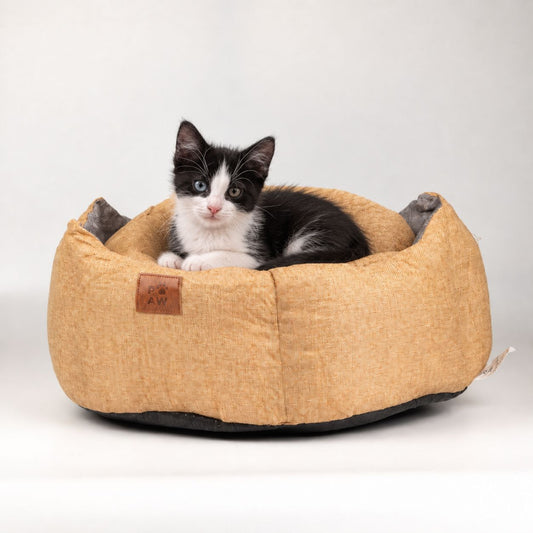 Cama beige tipo corona real para gatos