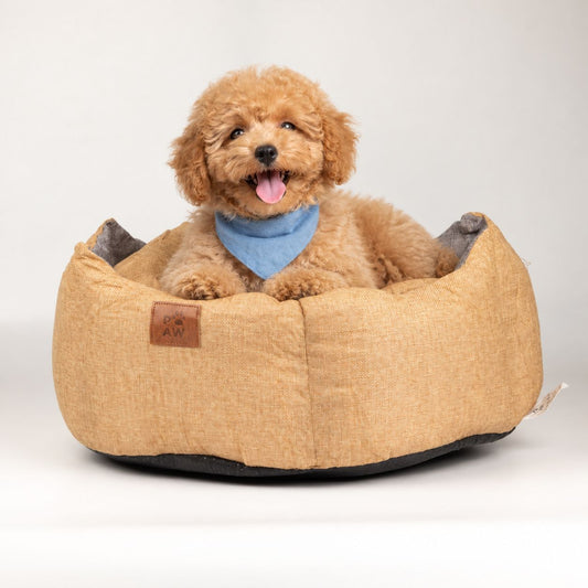 Cama beige tipo corona real para perros