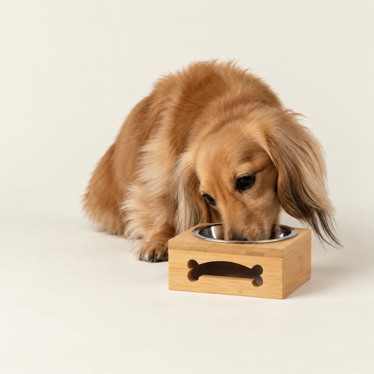 Cuenco de acero inoxidable en soporte de madera para mascotas