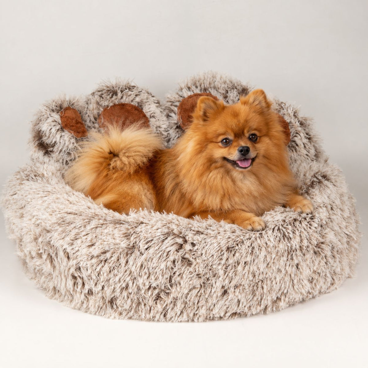 Cama tipo pata mediana para perros