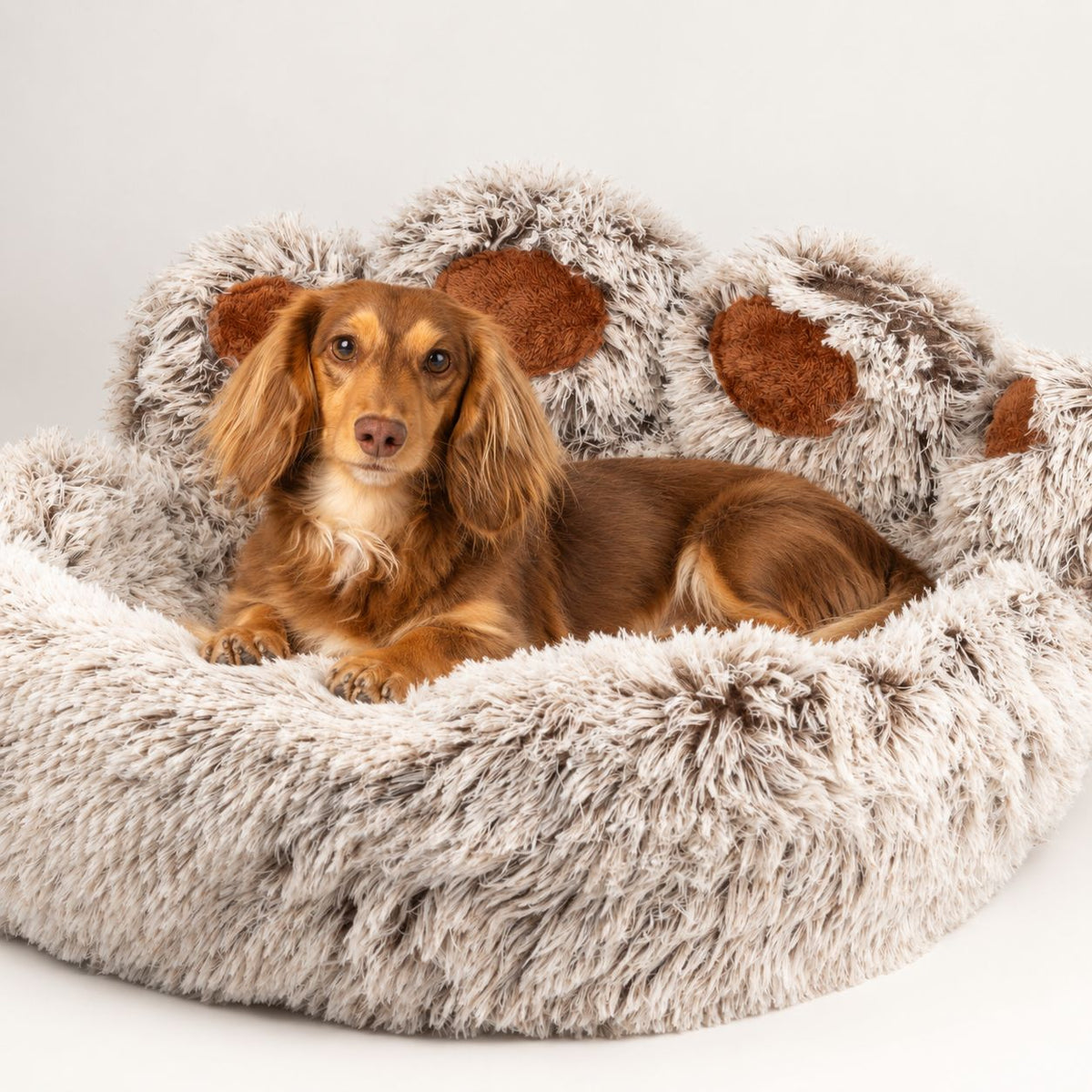 Cama tipo pata grande para perros