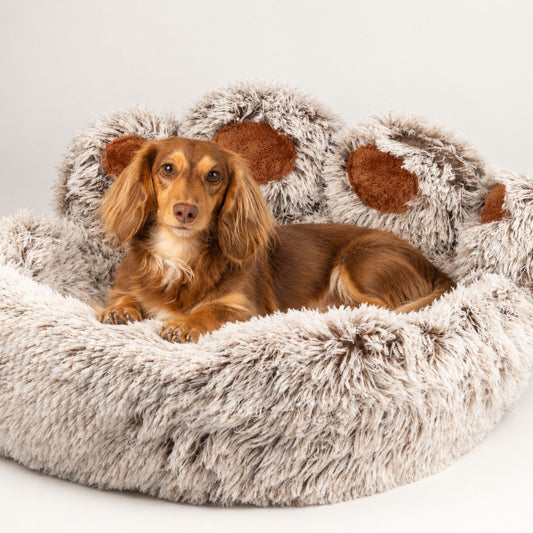Cama tipo pata grande para perros