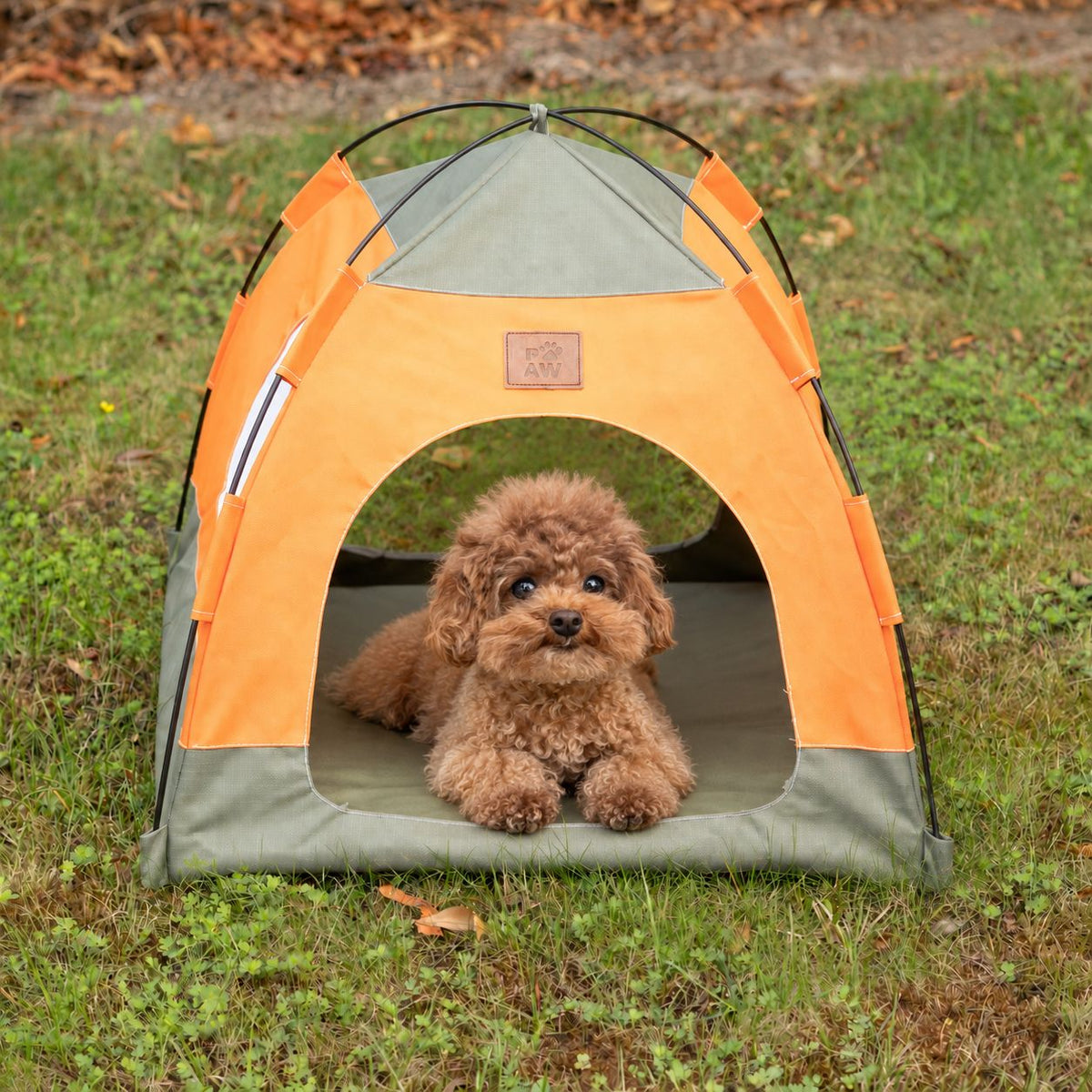 Tienda cama para perros