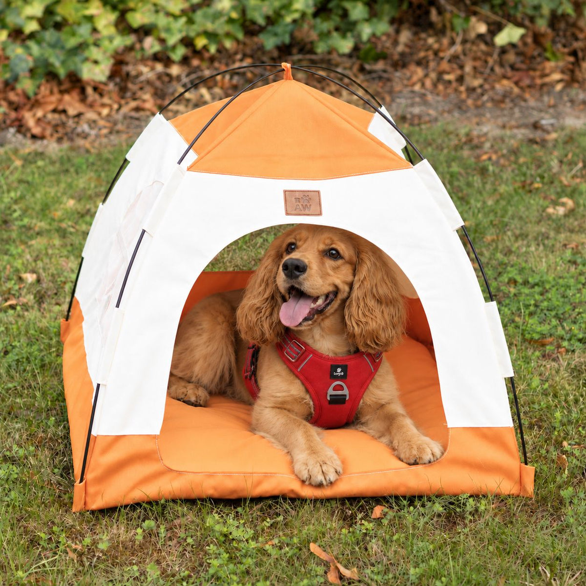 Cama tienda para perros