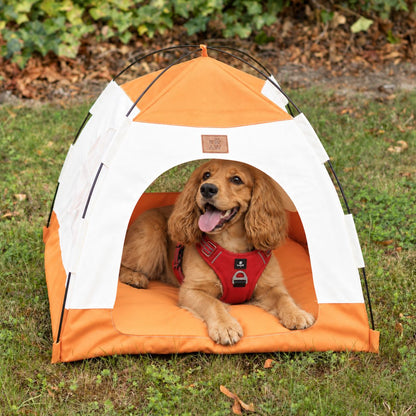 Cama tienda para perros