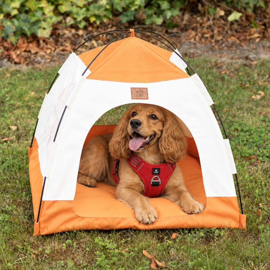 Cama tienda para perros