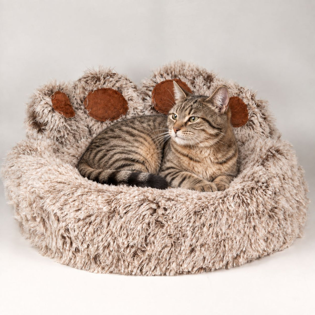 Cama tipo pata mediana para gatos