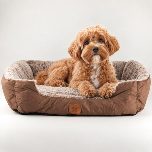 Cama tipo oso de peluche para perros pequeña