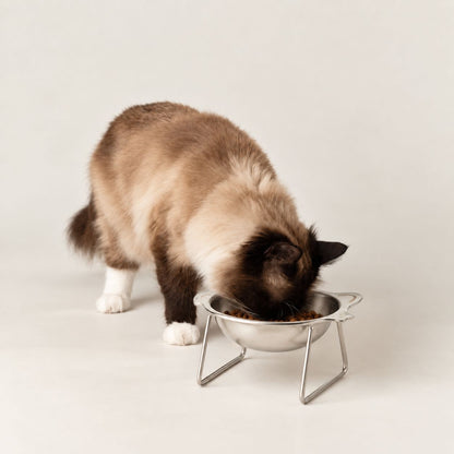 Cuenco elevado de acero inoxidable para gatos con soporte