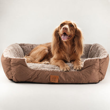 Cama tipo oso de peluche para perros mediana