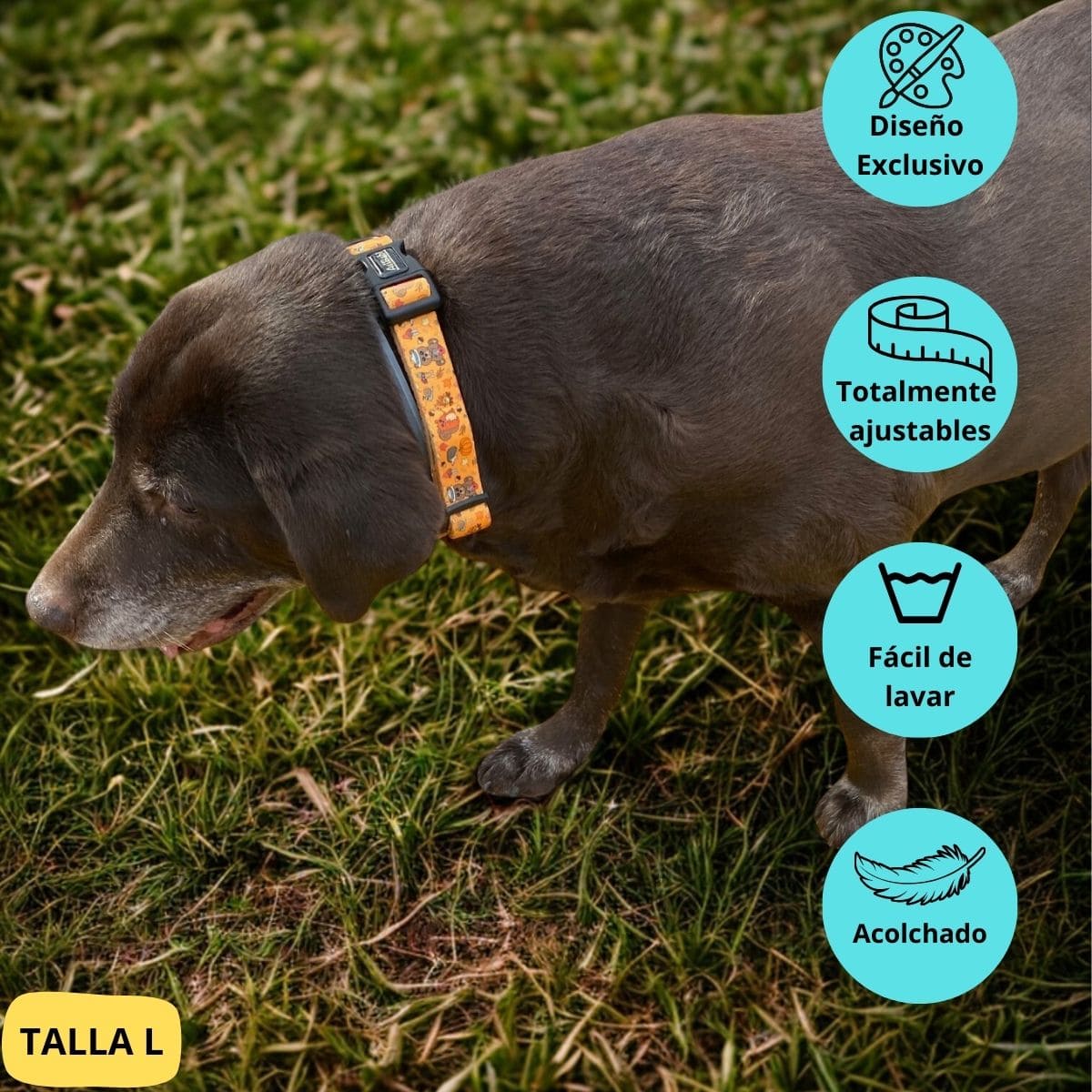 Collar Ajustable Yosemite